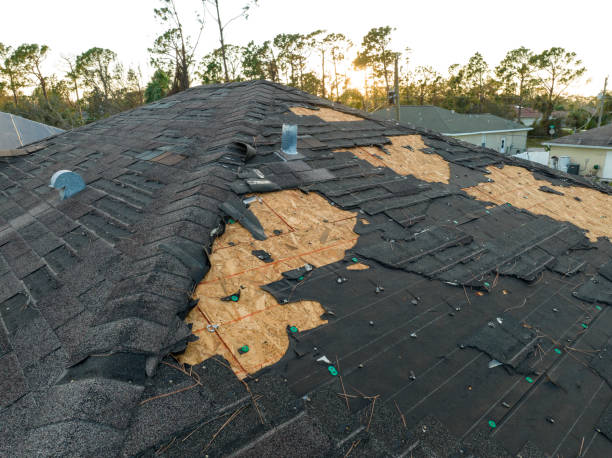 Best Slate Roofing  in Concord, CA