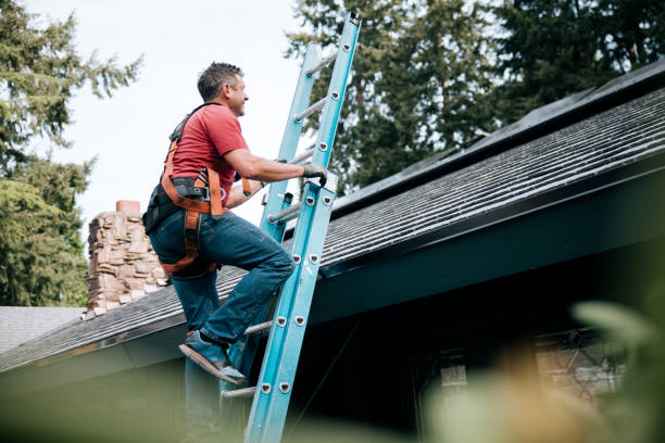 Best Roof Maintenance and Cleaning  in Concord, CA